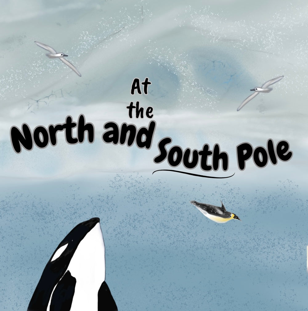 At the North and South Pole